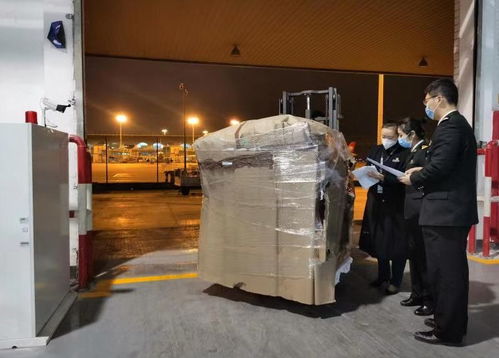 重庆海关高效护航 48960个海淘口罩零延时快速清关