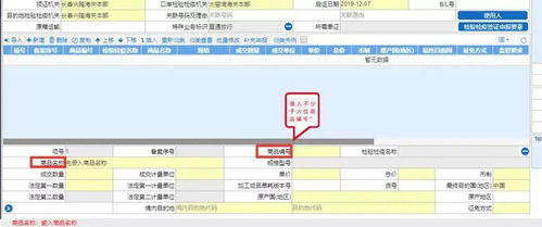 原来，报关可以这样做 国内贸易代理的智慧之道