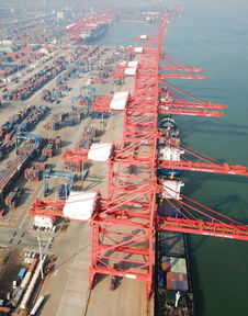 前三季度我国货物贸易进出口同比增长9.9%，展现强大韧性